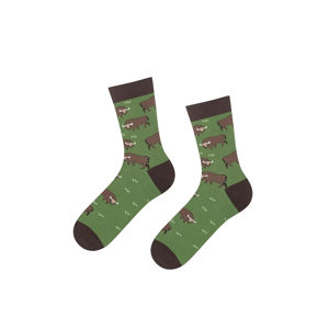 Hnedo-zelené ponožky Bison