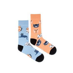 Broskvovo-modré ponožky Cats