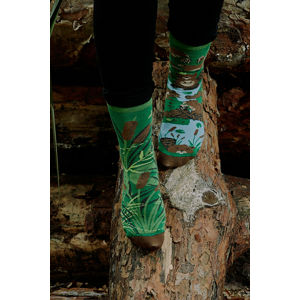 Hnedo-zelené ponožky Beavers