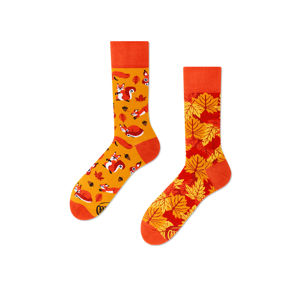 Oranžové ponožky The Squirrels