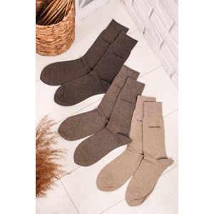 Pánské hnědé ponožky Combed Flat Knit Eric - trojbalení