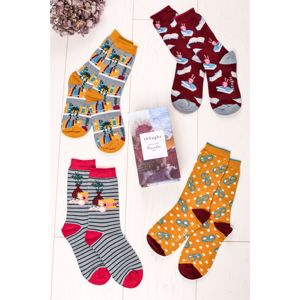 Vícebarevné ponožky v dárkové krabičce The Reader Sock Box - čtyř balení