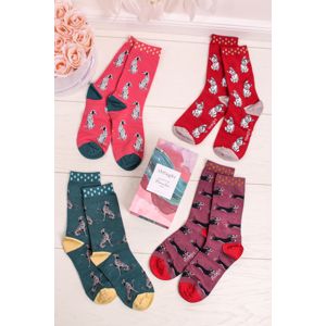 Vícebarevné ponožky Cane Socks Box - 4pack