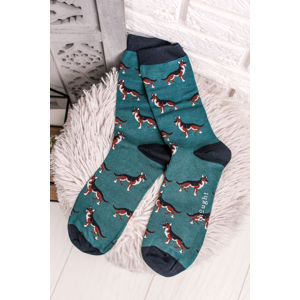 Pánské tyrkysové ponožky Hound Socks